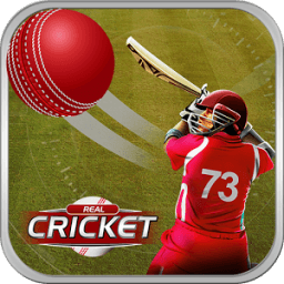 Play Cricket Matches أيقونة