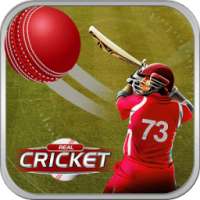 Play Cricket Matches