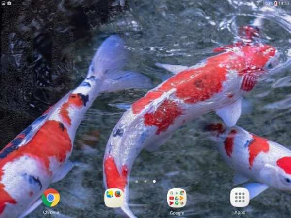 Koi Garden 3D Live Wallpaper screenshot 2