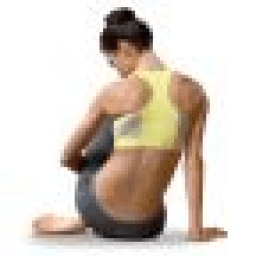 Ladies Back Workout FREE icon