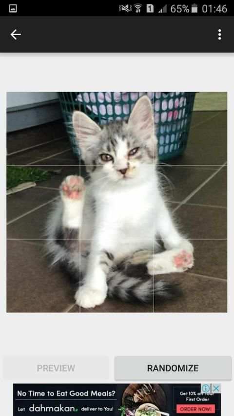 Game Kucing screenshot 5
