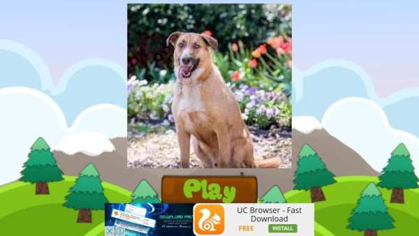Dog Names: Dog Breeds Games screenshot 6