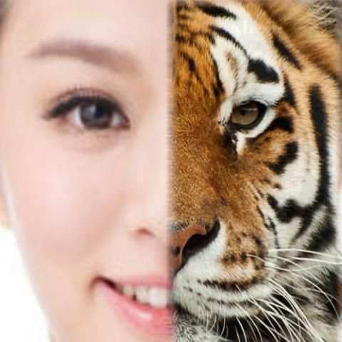 Tiger - Animal Face Maker screenshot 4