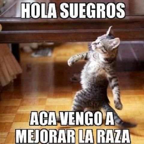 Imagenes graciosas Whatsapp screenshot 1