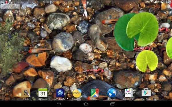 Aquarium Live Wallpaper 3D स्क्रीनशॉट 5