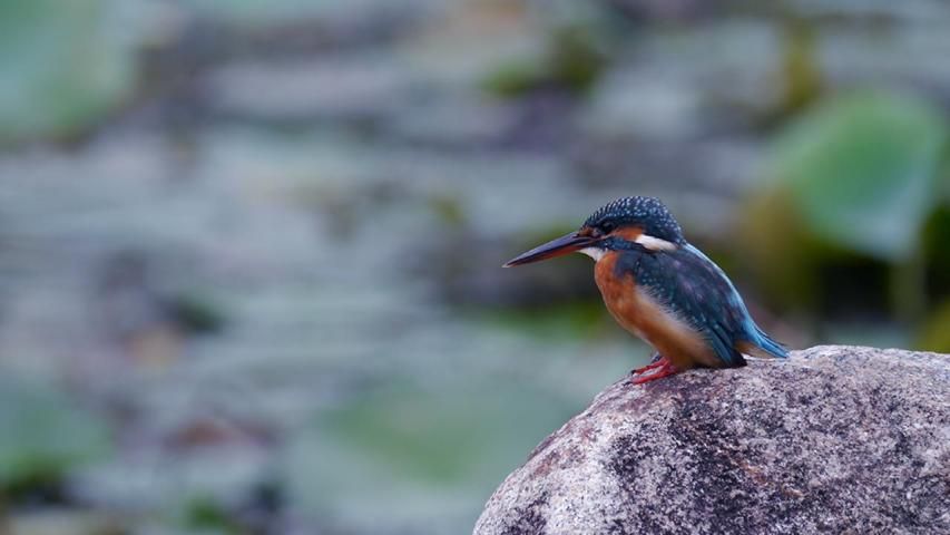 DSLR Camera HD 3 تصوير الشاشة