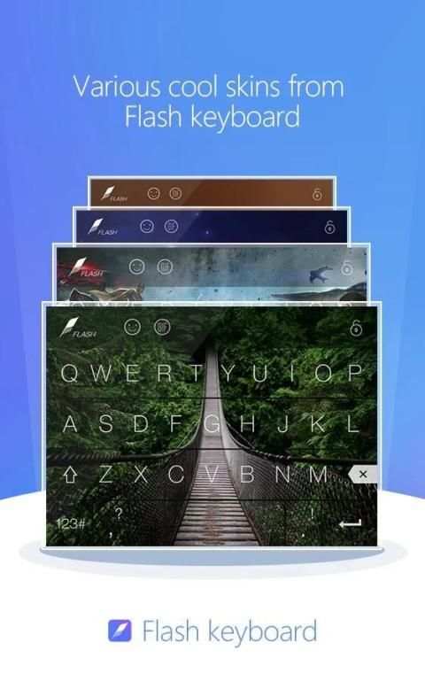 Bridge Skin скриншот 1