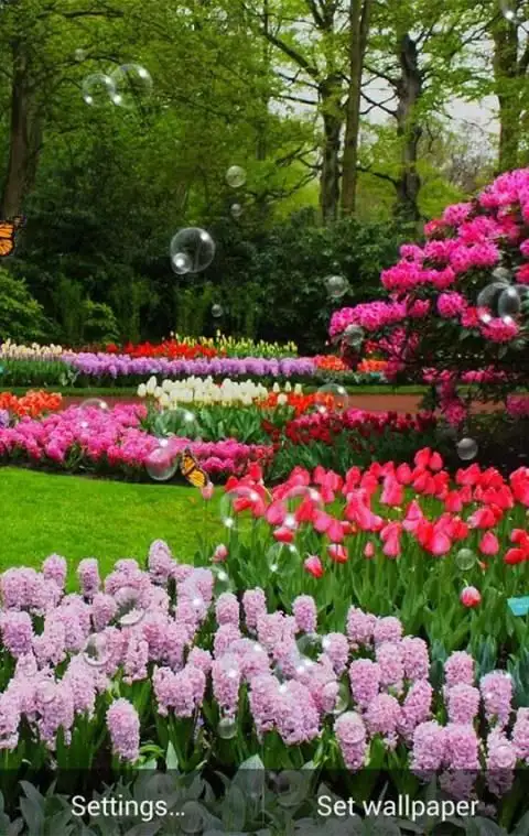 Spring Live Wallpaper скриншот 3