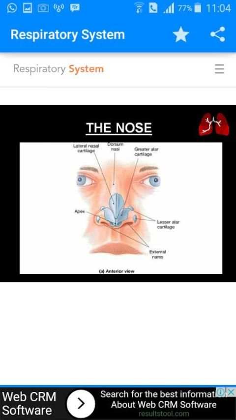 Respiratory System 1 تصوير الشاشة