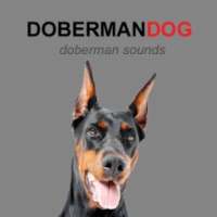 Doberman Dog Sounds and Barks