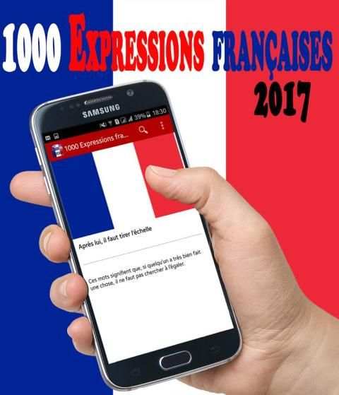 1000 Expressions françaises скриншот 1