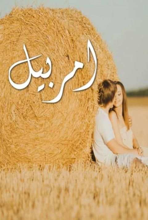 Amar-Bail Novel 2 تصوير الشاشة