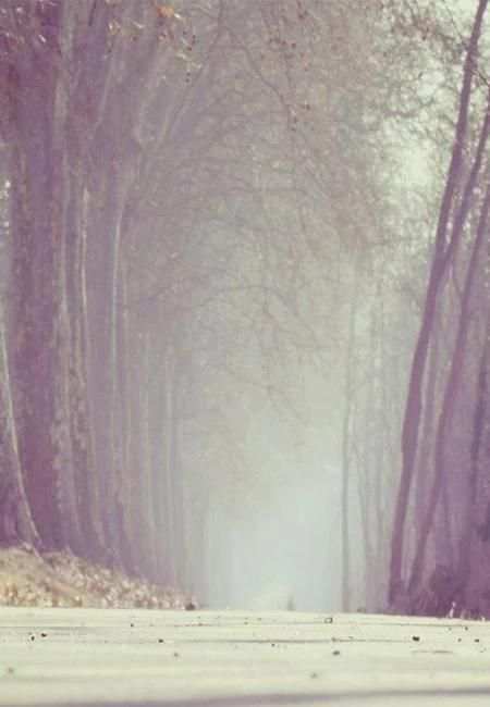 photos background change 3 تصوير الشاشة