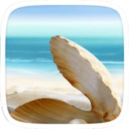 Pearly Shell Theme 1.0.0