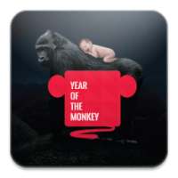 Year of the Monkey