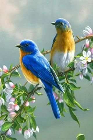 Singing Birds Live Wallapaper screenshot 8