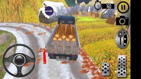 Hill Climb Truck Driver 3D 2 تصوير الشاشة