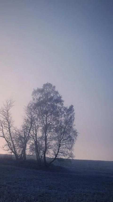 weather live wallpaper screenshot 2