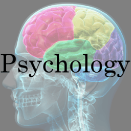 AP Psychology Terms иконка