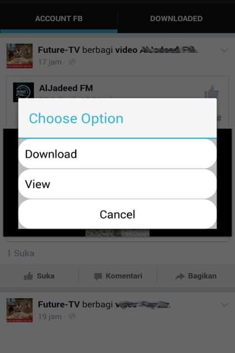 Facebook Video Downloader screenshot 1
