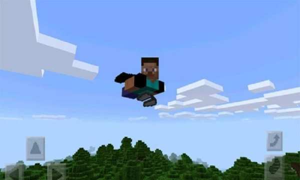 Wings Mod for MCPE screenshot 2
