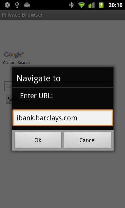 Incognito Browser screenshot 2