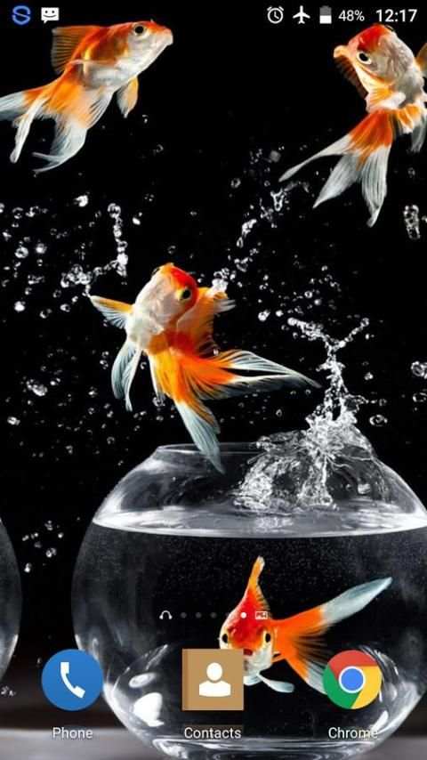 Goldfish HD Live Wallpaper screenshot 6