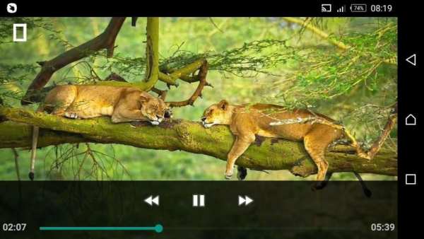 Video Folder Player скриншот 1