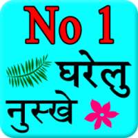 No.1 Gharelu Nuske on 9Apps