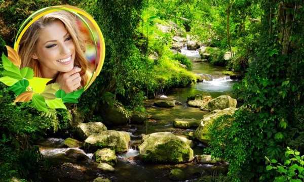 Nature Photo Frames 1 تصوير الشاشة