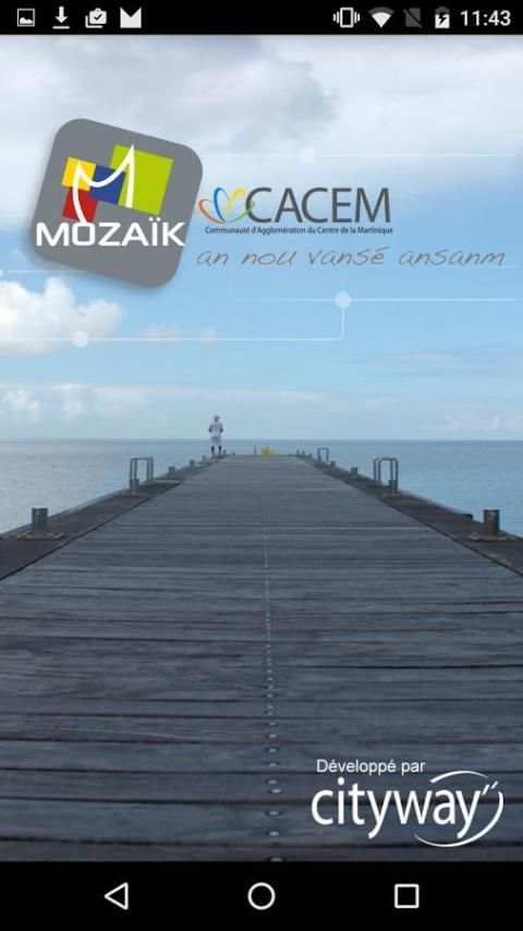 Mozaik screenshot 8