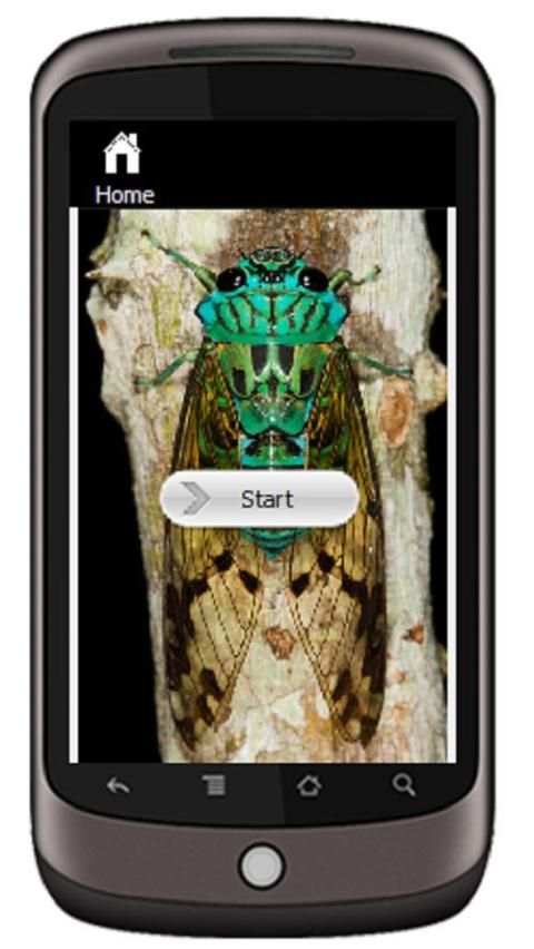 Cicada скриншот 1