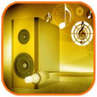 Volume Amplifier & Booster