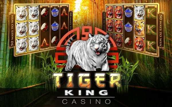Slots Tiger King Casino Slots 5 تصوير الشاشة