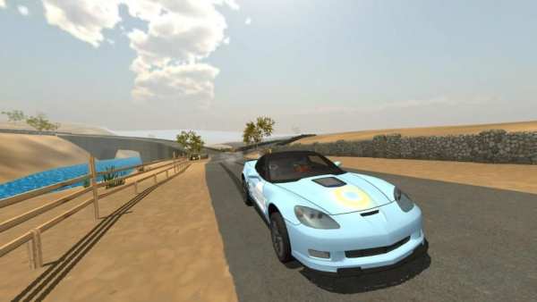 Dirt Rally Driving screenshot 5