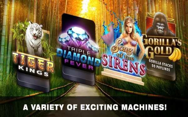 Slots Tiger King Casino Slots 8 تصوير الشاشة