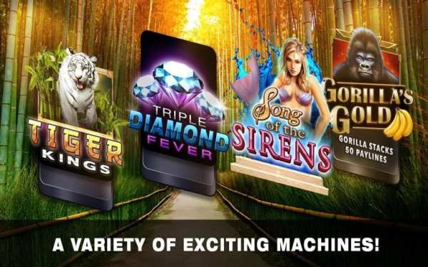 Slots Tiger King Casino Slots 3 تصوير الشاشة