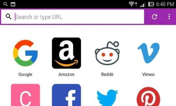 Royal Browser 7 تصوير الشاشة
