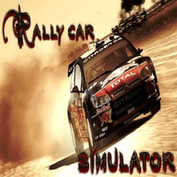 ikon Rally Car Simulator