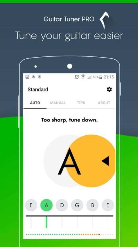 Guitar Tuner Pro screenshot 2