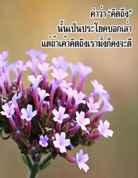 คำคมคิดถึงแฟน APK Download 2023 - Free - 9Apps คำคมคิดถึงแฟน Apk Download 2023 - Free - 9Apps