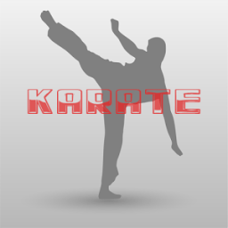 Karate Training and Exercises icon