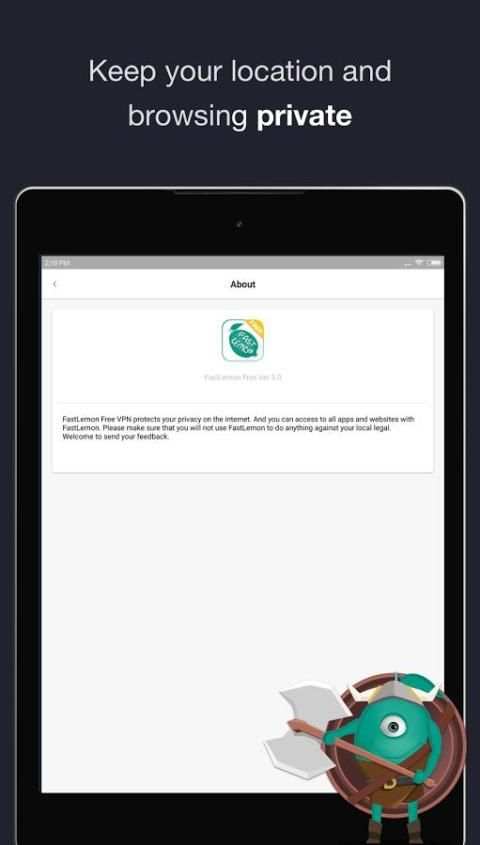 Free VPN by FastLemon security screenshot 2
