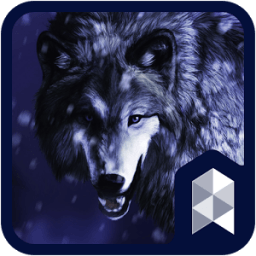 Ice Wolf theme أيقونة