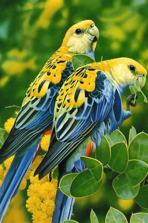 Birds Wallpaper स्क्रीनशॉट 12