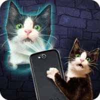 Projector Selfie Simulator on 9Apps