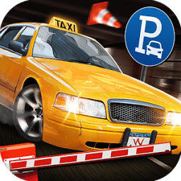 Real Park : Drive Simulator आइकन