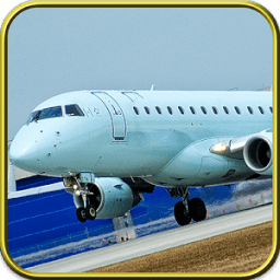 Plane Flight 3D : Fly أيقونة