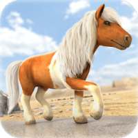 فرس قزم لعبة سباق | Pony Game on 9Apps