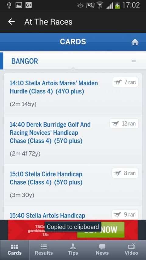 At the races - Horse Racing screenshot 1